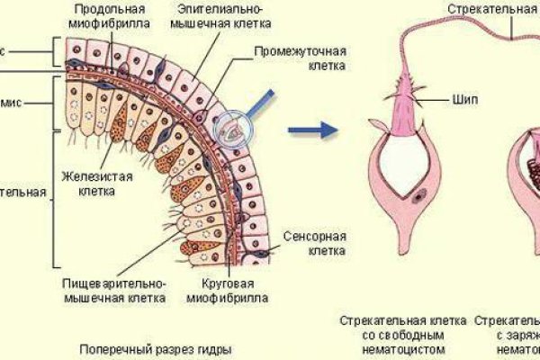 Кракен актуальная ссылка