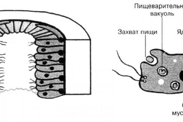 Замена гидры