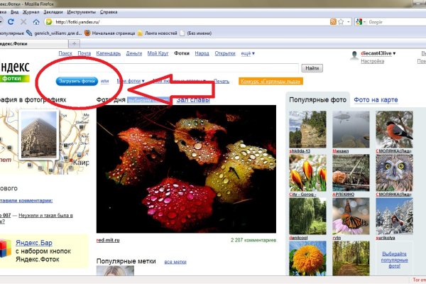 Kraken рабочая ссылка onion