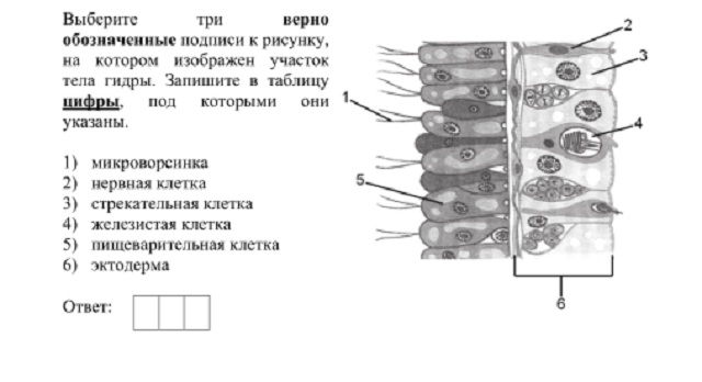 Кракен наркоз магазин