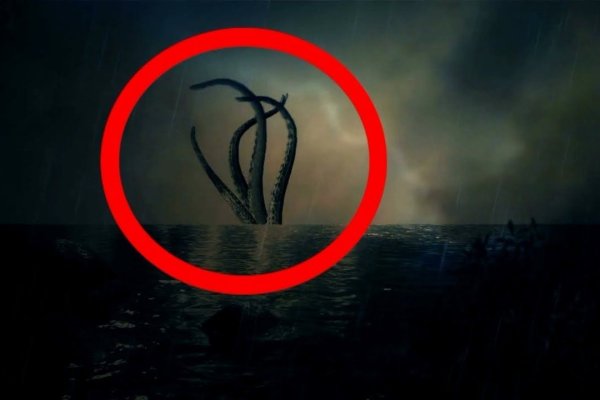 Настоящий сайт kraken