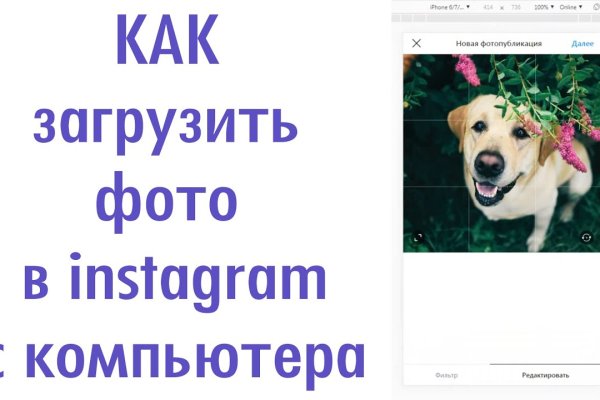 Рабочая ссылка на кракен в торе