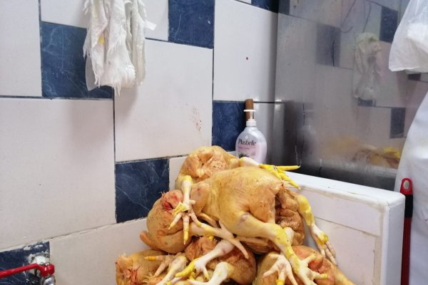 Кракен купить меф